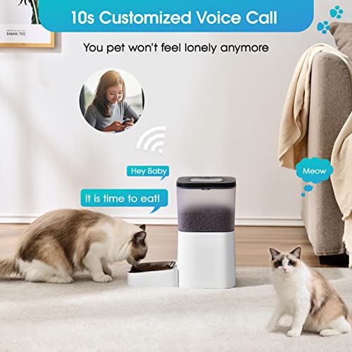 Automatic Cat Feeder, JSK 4L Dog Feeder Pet Food Dispenser ClogFree