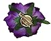 DreamLily Rose Flower Hair Clip Flamenco Dancer Pin up Flower Brooch BC10 (Purple)