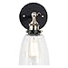 Light Society Camberly Wall Sconce, Clear Glass Shade with Antique Brass Finish, Vintage Modern Industrial Farmhouse Lighting Fixture (LS-W130)