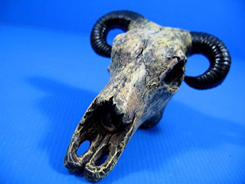 Goat Skull cave 4.9"x4.5"x3.2" Aquarium Ornament Decor resin fish tank hide bone