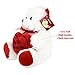 KINREX Soft Stuffed Teddy Bear - Happy Valentine's Day Bear for Girlfriend, Boyfriend, Wife, Husband - White with Red Message & Heart Pillow - 11.81