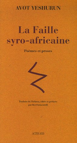 La  faille syro-africaine