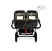 BOB Revolution Flex 3.0 Duallie Jogging Stroller, Graphite Black [Old Version]