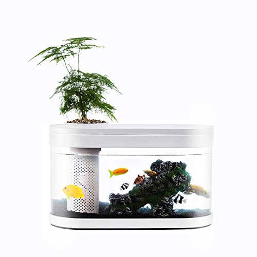 NEVERLAND XIAOMI Geometry Fish Tank Aquaponics Ecosystem Small Water Garden Home Decor