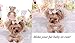 Bling Rhinestone Luxury Pet Puppy dog cat Hairpin hair bows tie dog lace Hair Clips Pet Dog Grooming Pet hair accessories Pink by KRexpress