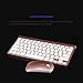 Morrivoe Ultra-thin Mini Keyboard Suit 2.4 G Wireless Keyboard- Keyboard and Mouse Combo Bundle(rose)