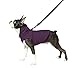 Gooby Fleece Vest Hoodie Dog Sweater - Plum, Small - Warm Pullover Dog Hoodie with O-Ring Leash - Winter Hooded Small Dog Sweater - Dog Clothes for Small Dogs Boy or Girl, and Medium Dogs
