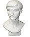 Torino GES-102 Life Size Bust of Roman Youth Plaster Cast Mannequin, Great for Artists, Artistic piece, Color: White, Size: 9