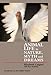 Animal Life in Nature, Myth and Dreams by 