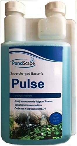 PondscapePulse Supercharged Pond Bacteria (32oz)