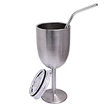 Amzyt Insulated Wine Glasses With Lid Double Wall Metal Stainless Steel Vacuum Brumate Goblets Glass Silver 10oz