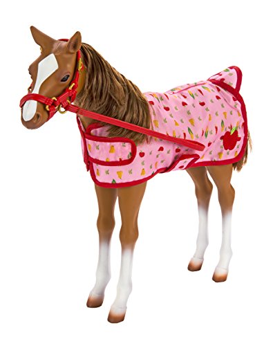 our generation morgan foal