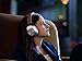 PIONEER Bluetooth and High-Resolution Over Ear Wireless Headphone, Brown (SE-MS7BT-T)