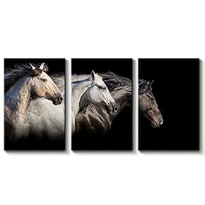 3 Panel Beautiful White Horse Painting Wall Decor...