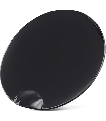 Amazon.com: YZQPNB Fuel Gas Door(Primed) FL3Z-99405A26-BPTM