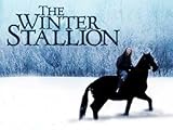 The Winter Stallion