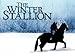 The Winter Stallion