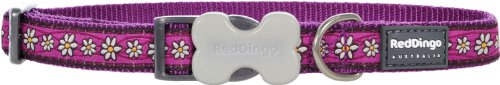 Red Dingo Daisy Chain Dog Collar, Purple, 15mm