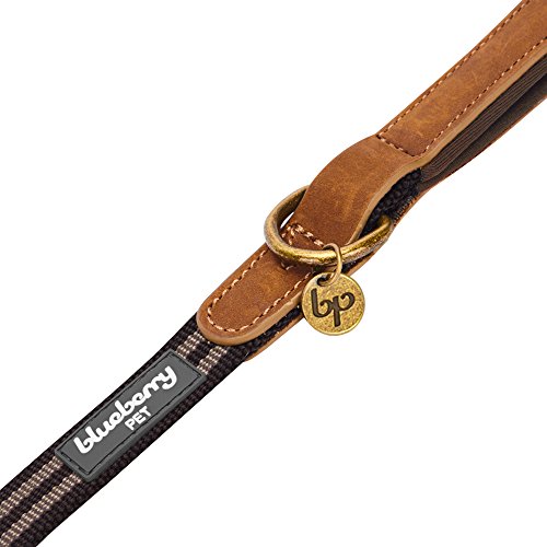 Blueberry Pet 6 Colors Classic Staple Striped Genuine Leather and Polyester Webbing Dog Leash with Soft & Comfortable Handle, 4 ft x 1", Chocolate & Taupe, Leashes for Dogs