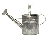 Houston International 8560 3/4-Gallon Steel Watering Can, Silver