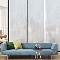 AngelSept Glass Sticker,Abstract Granite Cracks Stone Formation Pattern Mine Veins Ceramic Style Artsy Image,W15.7xL63in,for Living Room Bathroom Kitchen Front Door,Dust Grey