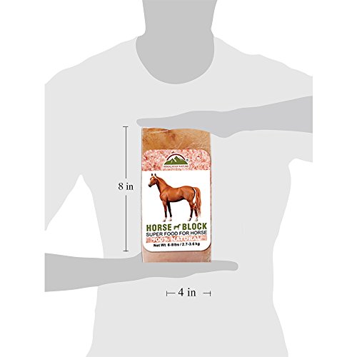 Himalayan Nature 100 Natural Himalayan Rock Salt Block Mineral Salt