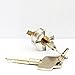 Polysun 5 Pieces Padlock Set Opener Lock Tools Set Training Tools Transparent Cutaway Practice for Beginner