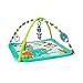 Bright Starts Zig Zag Safari Activity Gym and Play Mat with Take-Along Toys, Ages Newborn +
