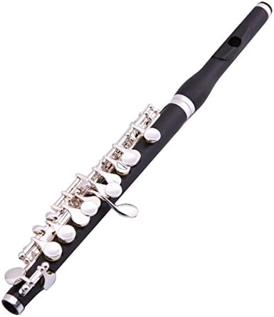 SDWL Composite Wood C Tune Silver Plating Professional Piccolo Musical Instrument with Box