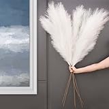 LIIVVA Pampas Grass Decor Tall - Faux Pampas Grass