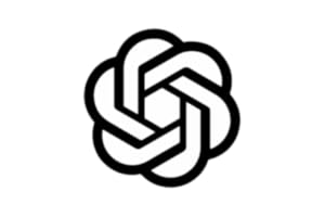 Chat.openai.com via �鶹�� Silk