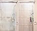 Bio Clean Products Hard Water Stain Remover 48oz & Silicone Sealant 16oz