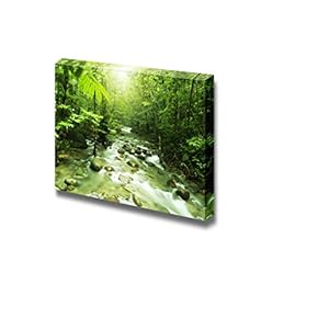 Canvas Prints Wall Art - Tropical Mountain Stream with Sunbeam in a Morning | Modern Home Deoration/Wall Art Giclee Printing Wrapped Canvas Art Ready to Hang - 12" x 18"