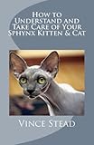 Image de How to Understand and Take Care of Your Sphynx Kitten & Cat