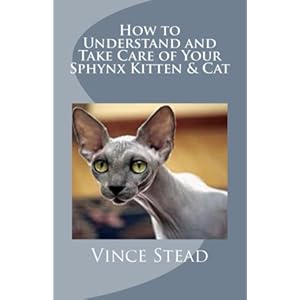 How to Understand and Take Care of Your Sphynx Kitten & Cat