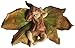 Top Collection Enchanted Story Fairy Garden Sleeping Fairy Baby Outdoor Statue, 3.75 by 5.75-Inch primary