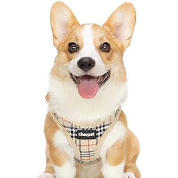 CHERPET Puppy Harness and Leash Set - Plaid Cute Adjustable Small Dog Fulll Body Vest Escape Proof Safety No Pull Halter Mesh Breathable Soft for Easy Walk Outdoor,Comfort Fit Kittens Small Animals