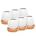 MyGift Set of 6 White Egg Shell Design Ceramic Succulent Planter Pots w/Orange Saucers
