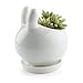 T4U Ceramic Pot White, Rabbit Planter Succulent Plant Cactus Flower Porcelain Holder Container Outdoor Indoor Home Office Decoration with Round Tray - Pack of 3