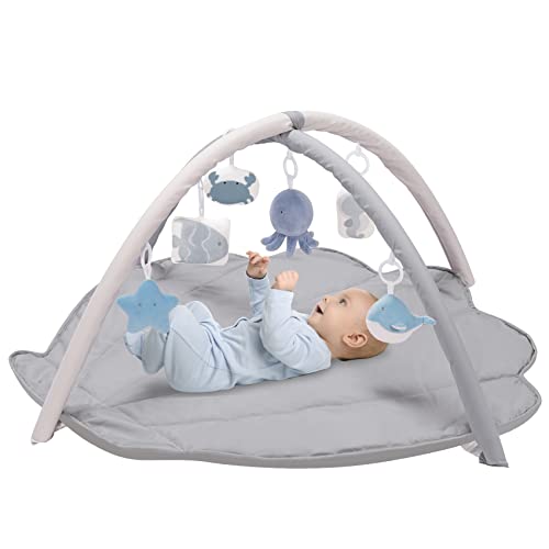 Washable Baby Gym Activity Center with Play Mat, Early Development