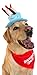 Dog Birthday Party Decorations Kit by Blast in a Box (Blue Hat): Puppy Cake Mix, Birthday Dog Cotton Bandana, Cake Hat, WOOF and Pawty Balloons