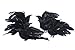 Artificial Black Feather Flying Crows - Realistic Look Fake Black Bird Crows for Haunted House Displays or Costumes and Halloween Decorating, Crafting by Factory Direct Craft (6 Pieces)