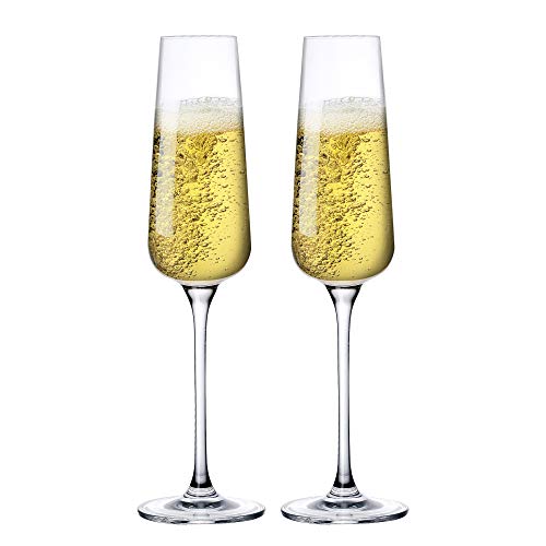 NC Sattyge Champagne Flutes Glasses Crystal Champagne Coupe Lead Free