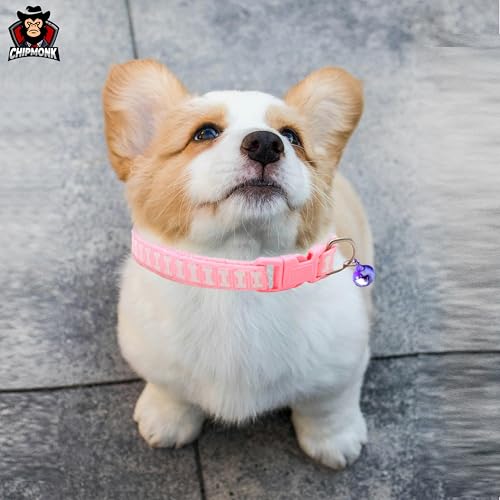Chipmonk Cat & Puppy Collar with Bell,Kitten & Small Dogs Soft Adjustable,Safe,Solid & Protective Breakaway for Cats & Puppies,Cute Kitty Neckband with Multi Bones Print-(Pink) 3