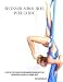 Beginner Aerial Silks Pose Guide (The Aerial Attitude) (Volume 1) by