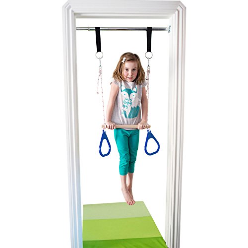 DreamGYM Indoor Swing Trapeze Bar and Gymnastic Rings Combo for Doorway Gym - Blue