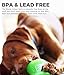 Tough Rubber Dog Bone, Durable Chew Toy for Dogs by Bionic, Medium, Green