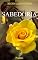 Livro Sabedoria