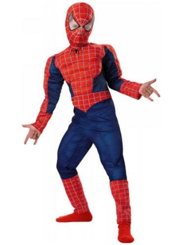 Kids Spiderman Costume - Large 10-12)