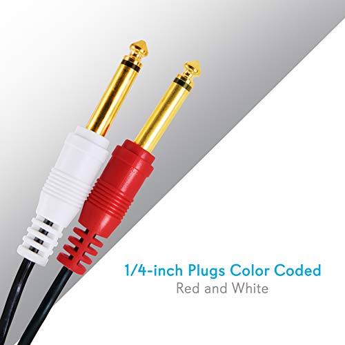 3.5mm to 1/4" Y-Cable Connection - 3.5mm Male Stereo to Dual 1/4'' Mono Y Cable Audio Cord- 6 ft 12 Gauge Black Heavy Duty Professional Speaker Wire - Delivers Sound - Pyle Pro PCBL43FT6